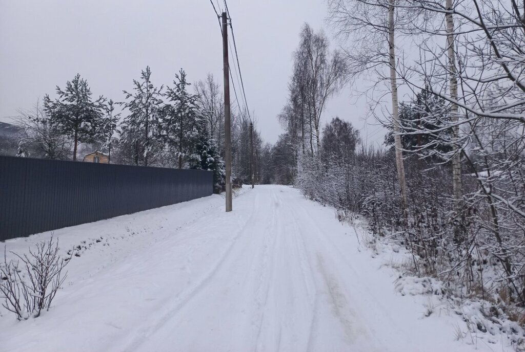 земля р-н Выборгский снт Славянка Мгинское городское поселение, садоводческое некоммерческое товарищество Берёзовка, 5-я аллея фото 3