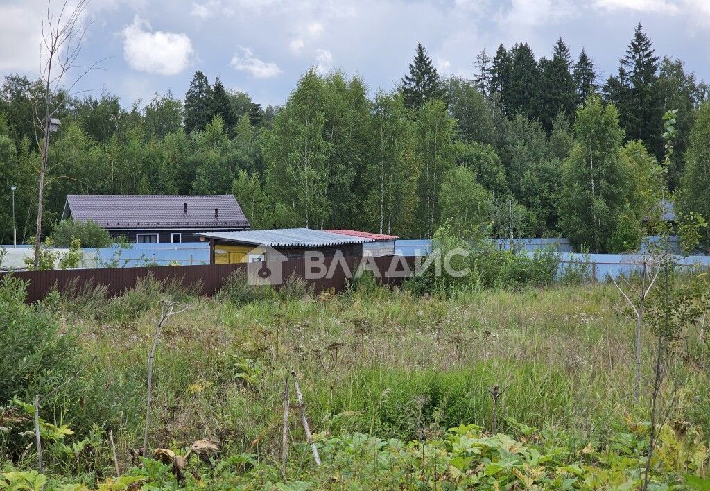 земля городской округ Дмитровский д Лупаново 29 км, Икша, Рогачёвское шоссе фото 3