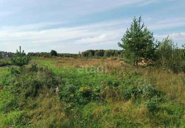 земля п Доброград ул Хвойная муниципальное образование Доброград, Мелехово фото