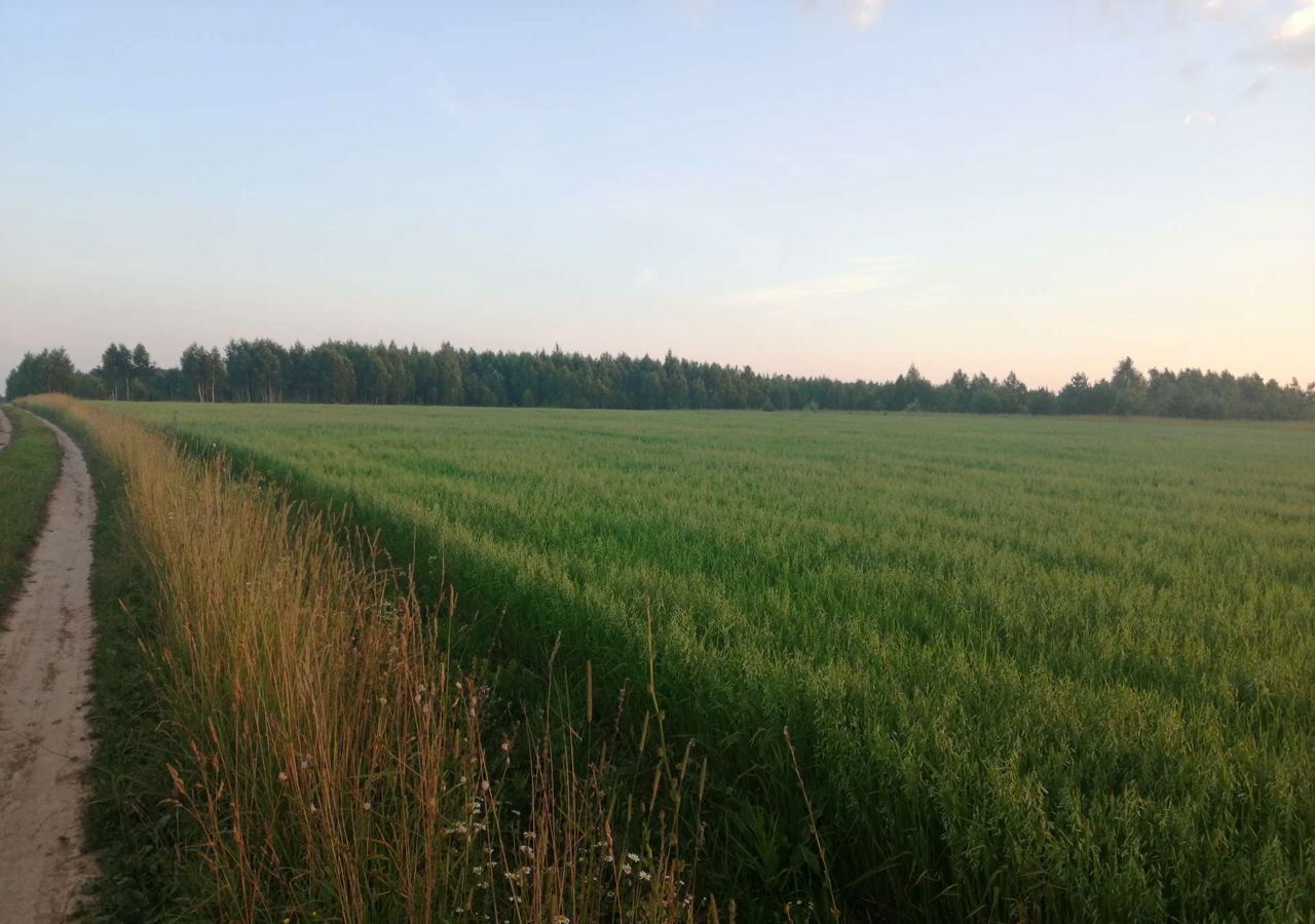 земля р-н Тарусский с Волковское сельское поселение Село Волковское, мкр-н Тепличное, Московская область, Протвино фото 16