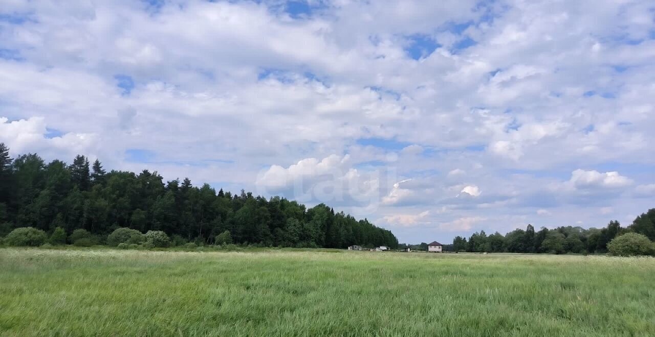 земля городской округ Талдомский д Головково-Марьино 70 км, Вербилки, Дмитровское шоссе фото 3