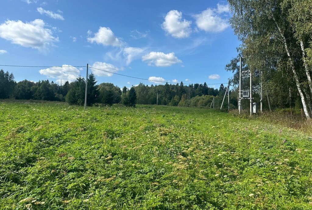 земля городской округ Клин д Николаевка фото 3