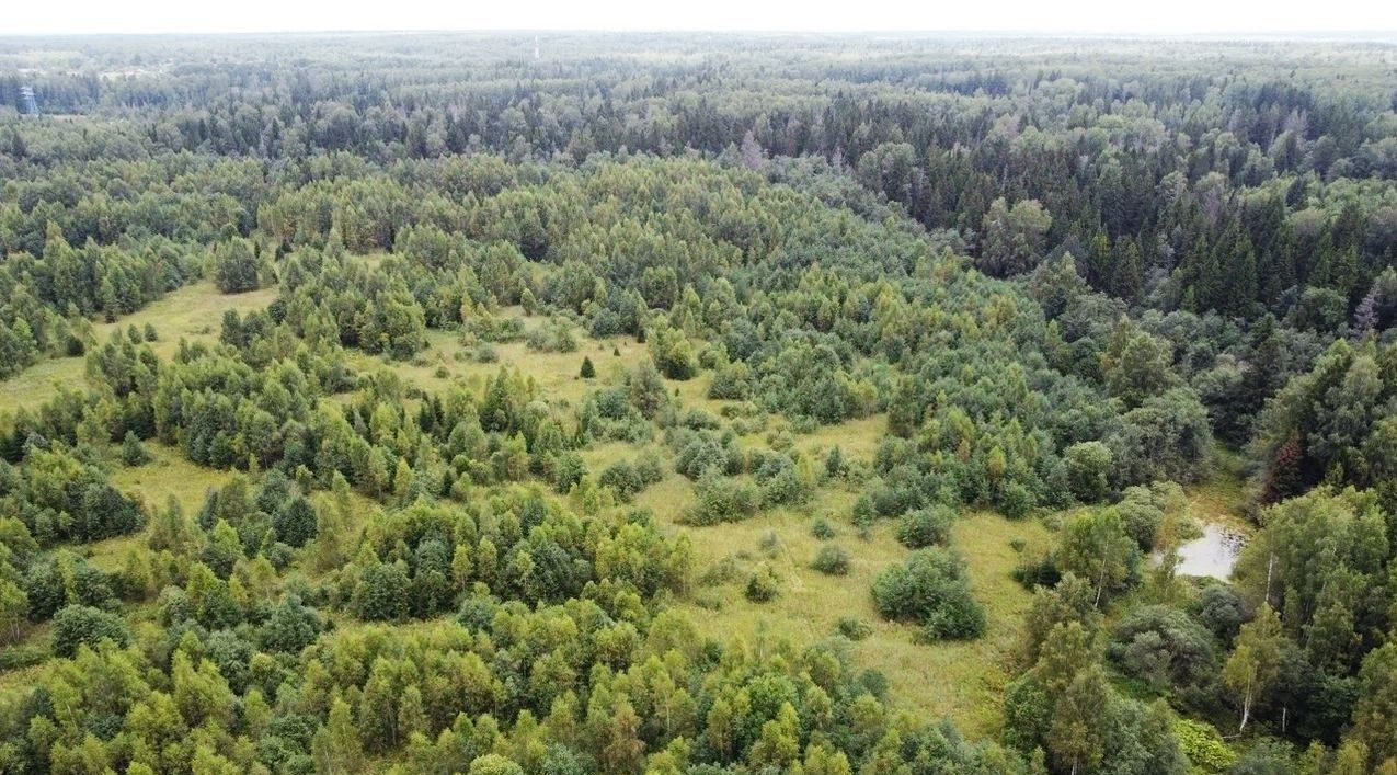 земля городской округ Волоколамский д Матрёнино фото 1