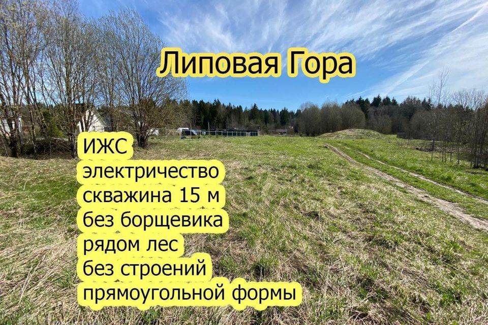 земля р-н Волосовский д. Липовая Гора фото 4