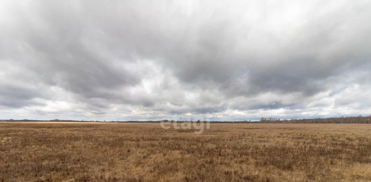 земля р-н Тюменский д Нариманова фото 14