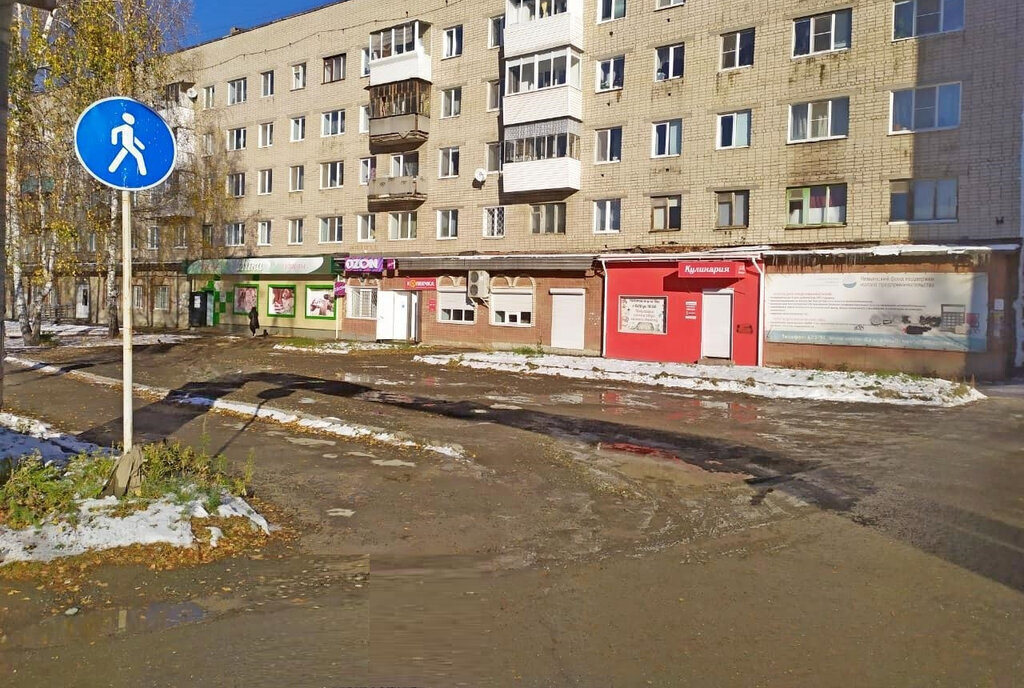 торговое помещение г Екатеринбург р-н Верх-Исетский Площадь 1905 Года фото 3