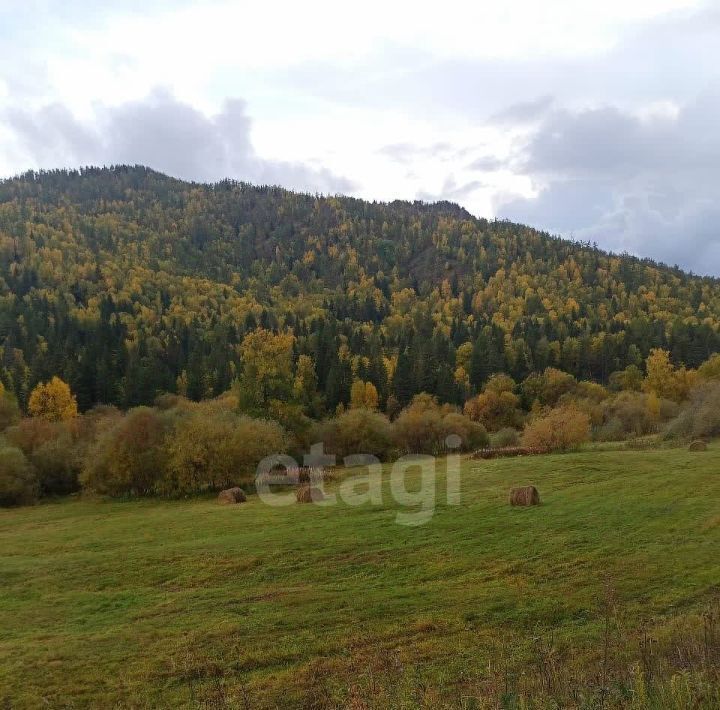 земля р-н Онгудайский с Онгудай фото 3