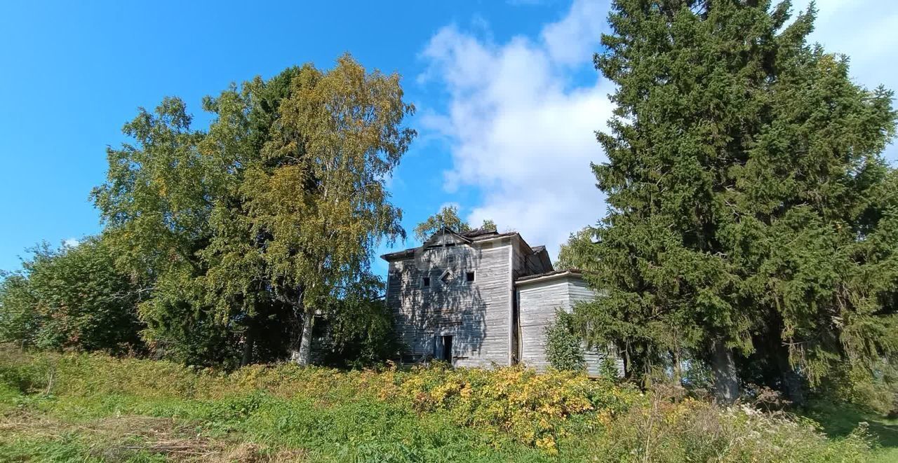 земля р-н Холмогорский д Чевакино 94, Новодвинск фото 5