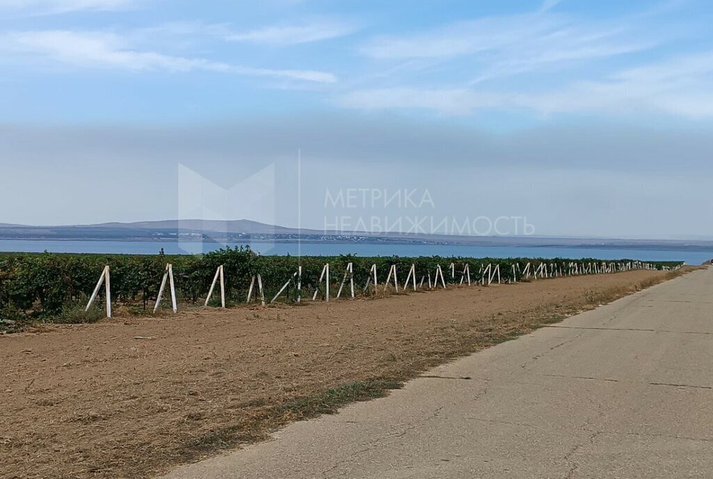 земля р-н Темрюкский п Веселовка Новотаманское сельское поселение фото 2