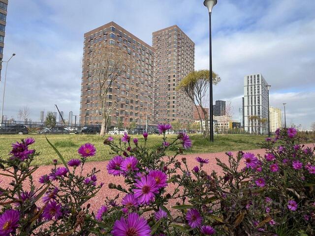 СЗАО Московская область фото