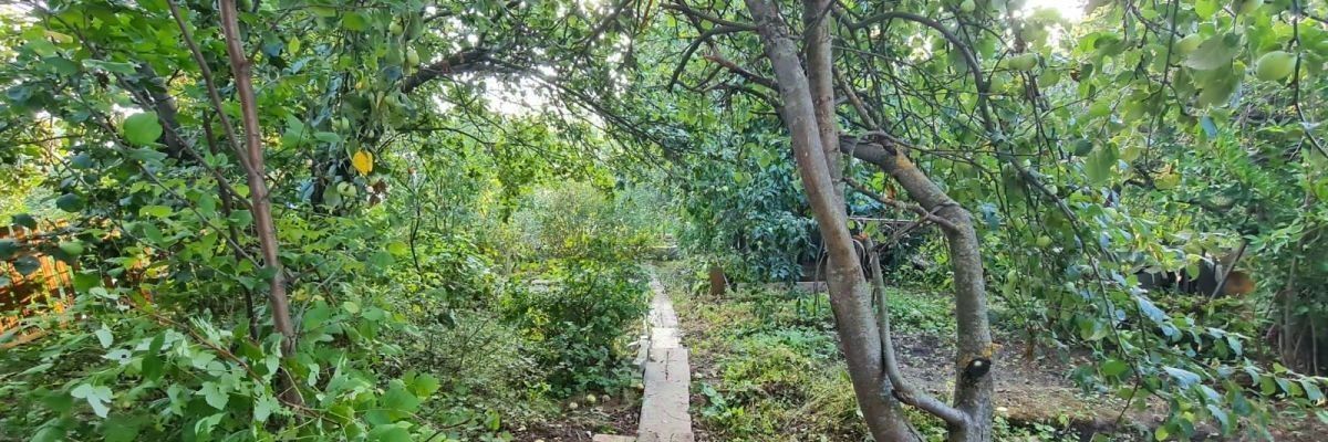 земля г Казань метро Горки ул Фермское Шоссе 32 фото 1