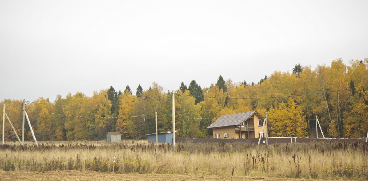 земля городской округ Пушкинский Ашукино дп фото 4