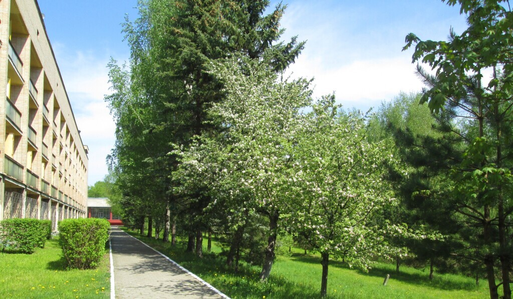 дом р-н Угличский п Алтыново Отрадновское сельское поселение фото 12