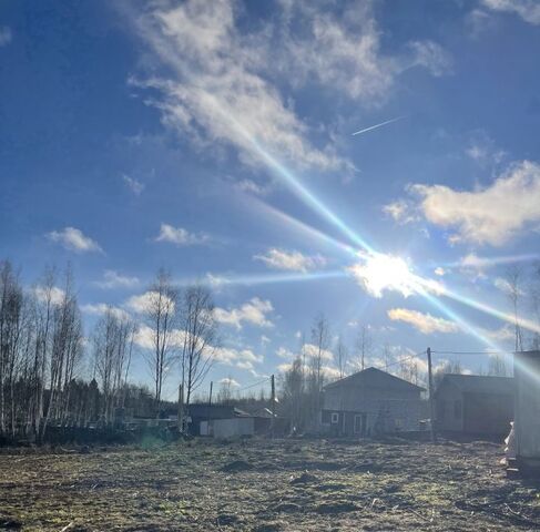 городской округ Пушкинский Ашукино дп фото