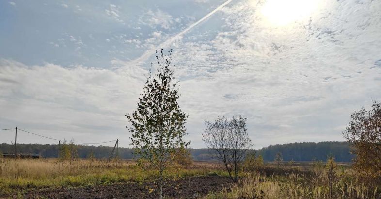 офис городской округ Чехов с Троицкое фото 1