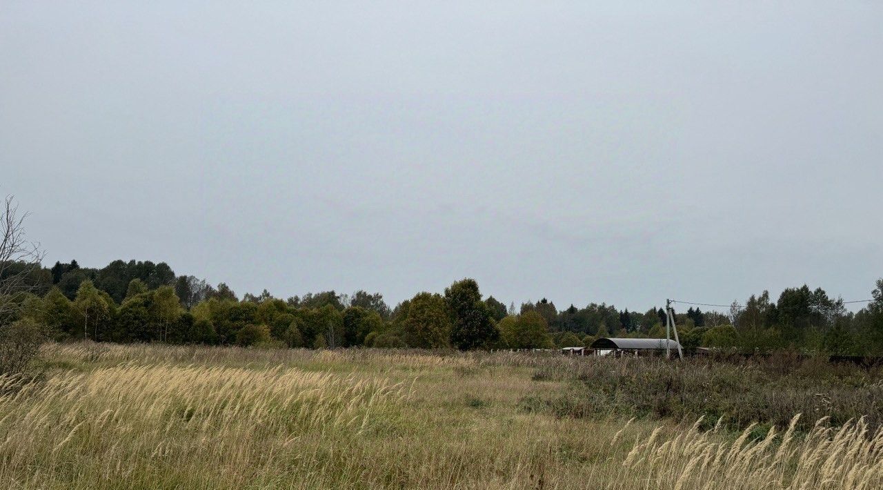 офис городской округ Шаховская д Волочаново фото 1