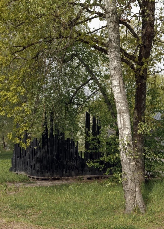 гостиницу городской округ Чехов Чехов фото 14