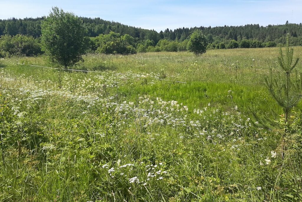 земля г Сортавала п Нукутталахти Сортавальский муниципальный округ фото 5