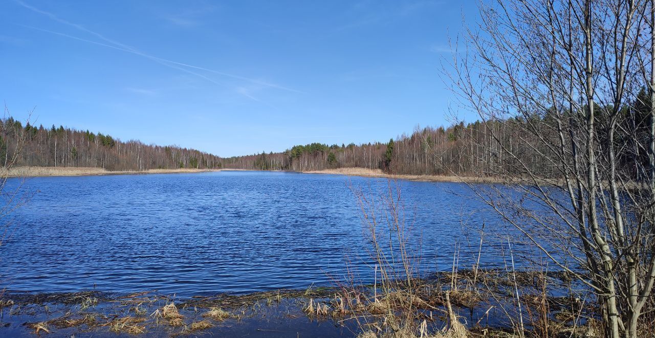 земля р-н Слободской Бобинское сельское поселение, Киров фото 2