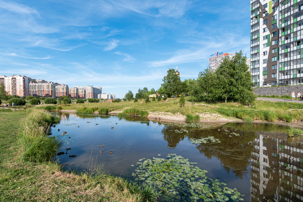 квартира г Кудрово Южное Кудрово ул Пражская 4 Заневское городское поселение фото 33