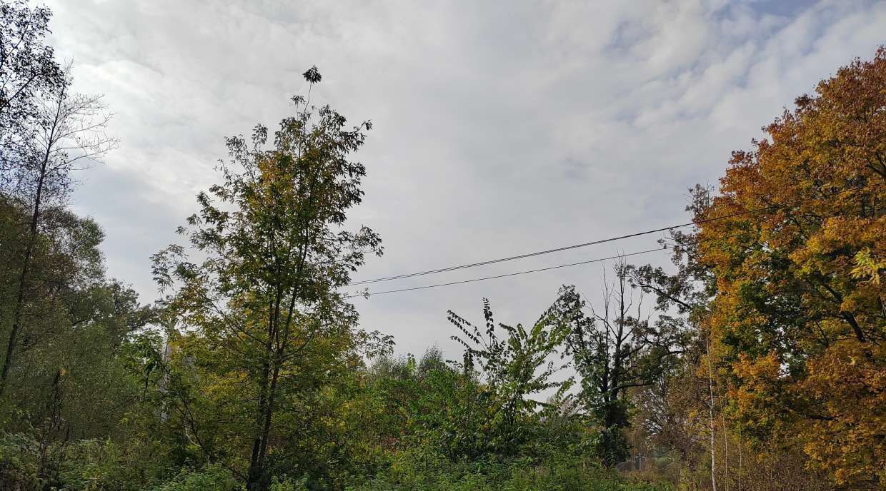 офис городской округ Чехов п Мещерское фото 1