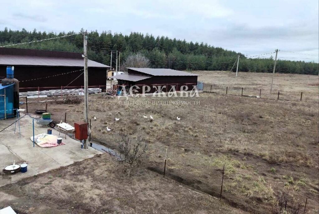 земля р-н Старооскольский с Анпиловка историческая местность Бор, Старооскольский городской округ фото 1