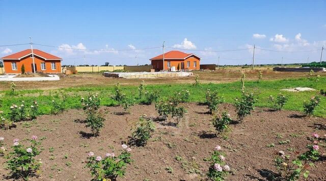 ул Украинская Новоалександровское сельское поселение фото