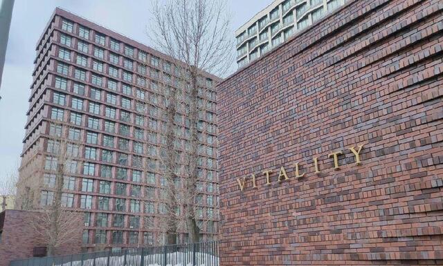 ЮЗАО Южнопортовый ул 1-я Машиностроения 7 Жилой комплекс «VITALITY», Московская область фото