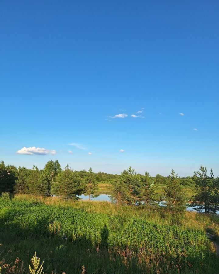 дом р-н Новгородский д Село-Гора Тёсово-Нетыльское сельское поселение, Великий Новгород фото 28