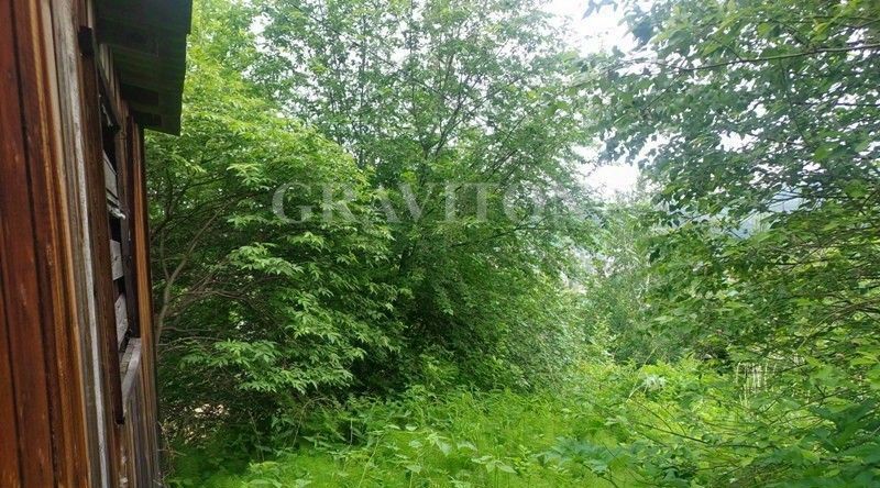 земля г Горно-Алтайск снт Вишенка фото 6