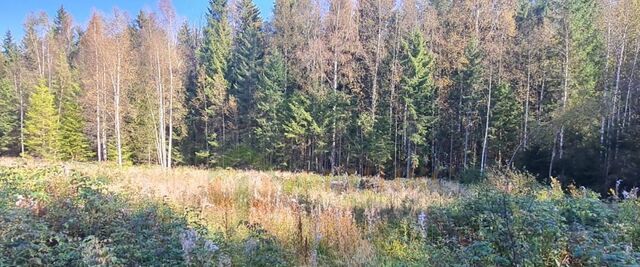 земля п Лебяжье ул Финская Рощинское городское поселение, гора, Рощино фото