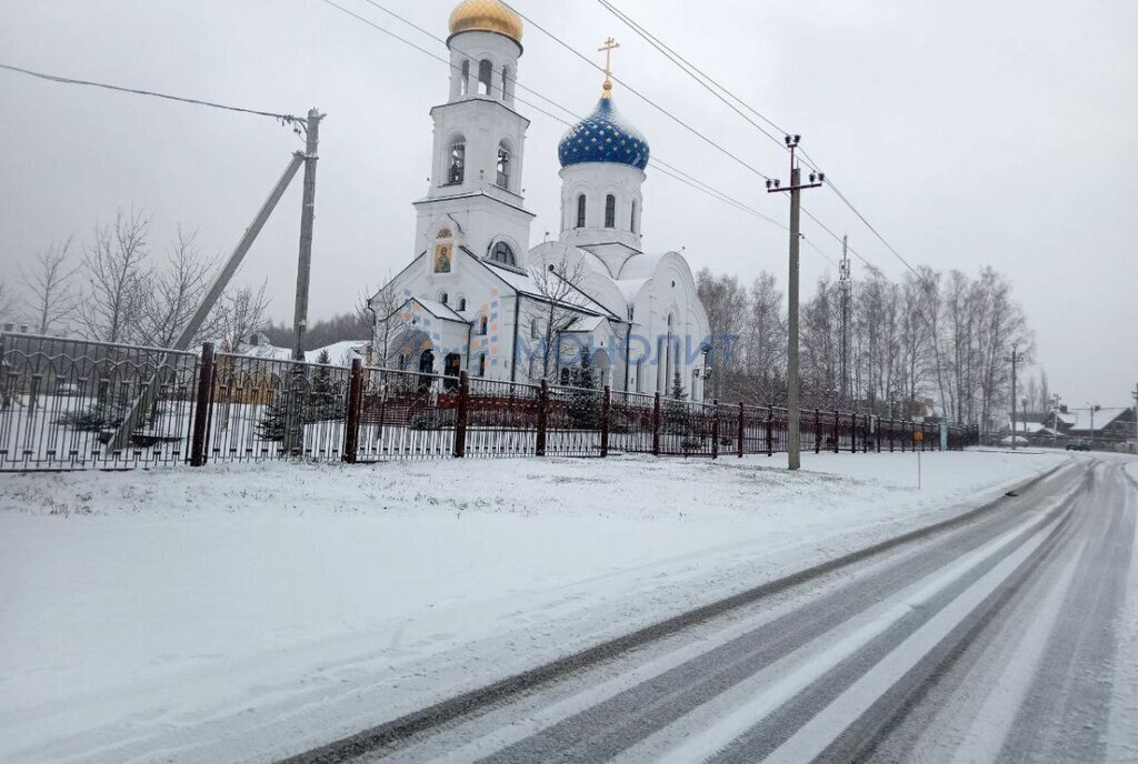 земля р-н Богородский д Березовка сад ДПК Приозерный 1 фото 13