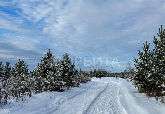 р-н Тюменский с Успенка ул Московский тракт Успенка фото