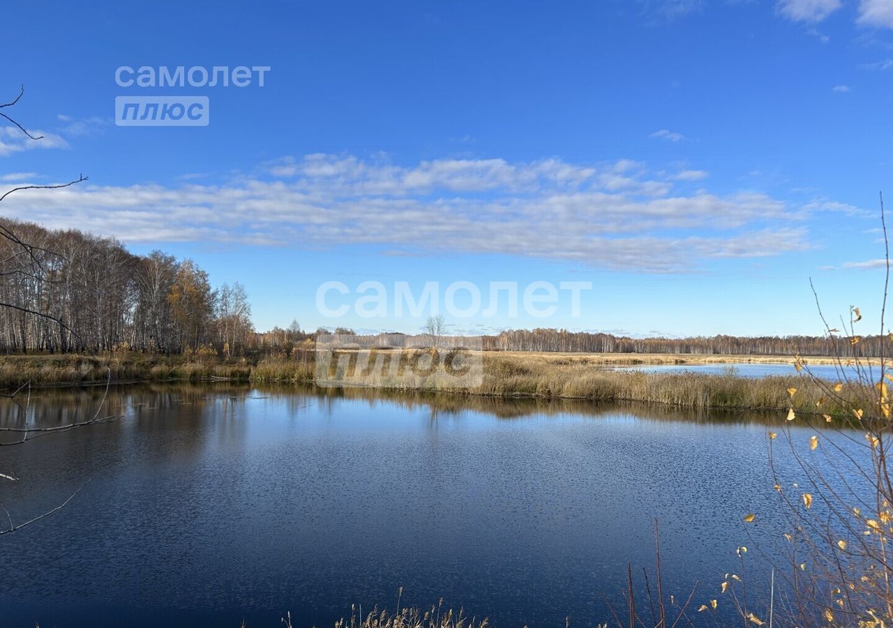 земля р-н Красноармейский с Сугояк Сугоякское сельское поселение, Бродокалмак фото 2