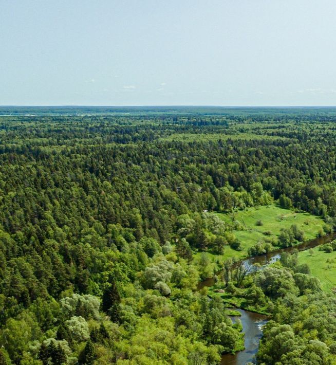 земля городской округ Ступино д Теняково фото 6