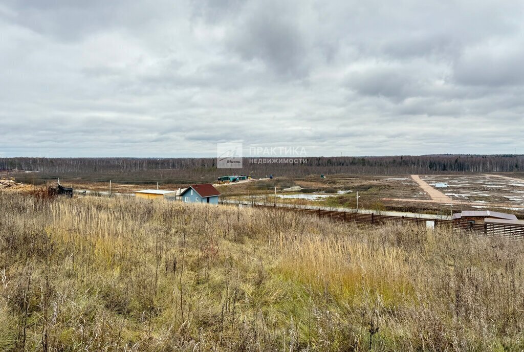 земля городской округ Мытищи д Протасово ул Ромашковая Лобня фото 6