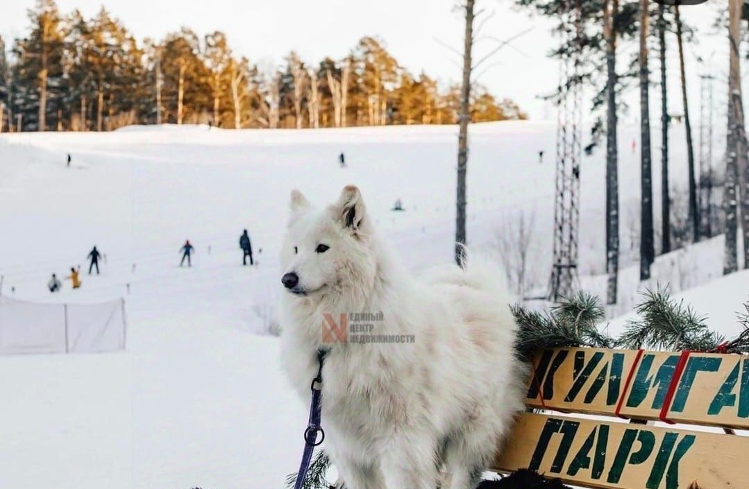 земля р-н Тюменский с Кулига фото 10