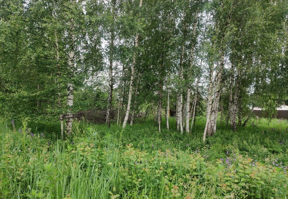 земля городской округ Орехово-Зуевский п 1-го Мая снт Майский Орехово-Зуево фото 6