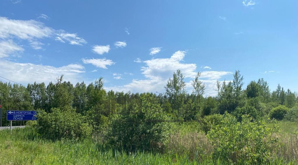 офис р-н Новгородский д Воробейка Борковское с пос фото 2
