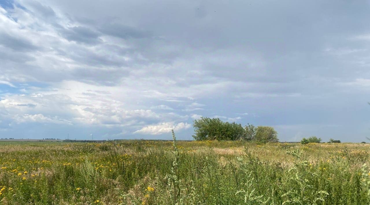 офис городской округ Зарайск п Отделения 2 совхоза "Зарайский" фото 1