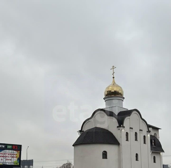 квартира г Кудрово Южное Кудрово ул Центральная 8 Улица Дыбенко, Заневское городское поселение фото 49