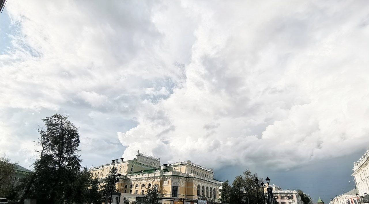 квартира г Нижний Новгород р-н Нижегородский Горьковская ул Пискунова 3к/2 фото 43