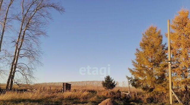 с Новолокти ул Советская Гилевский сельсовет фото