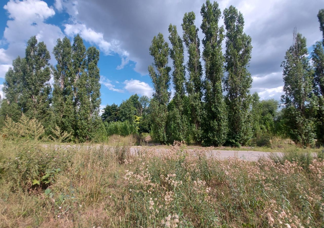 земля г Воронеж р-н Центральный наб Максима Горького фото 14