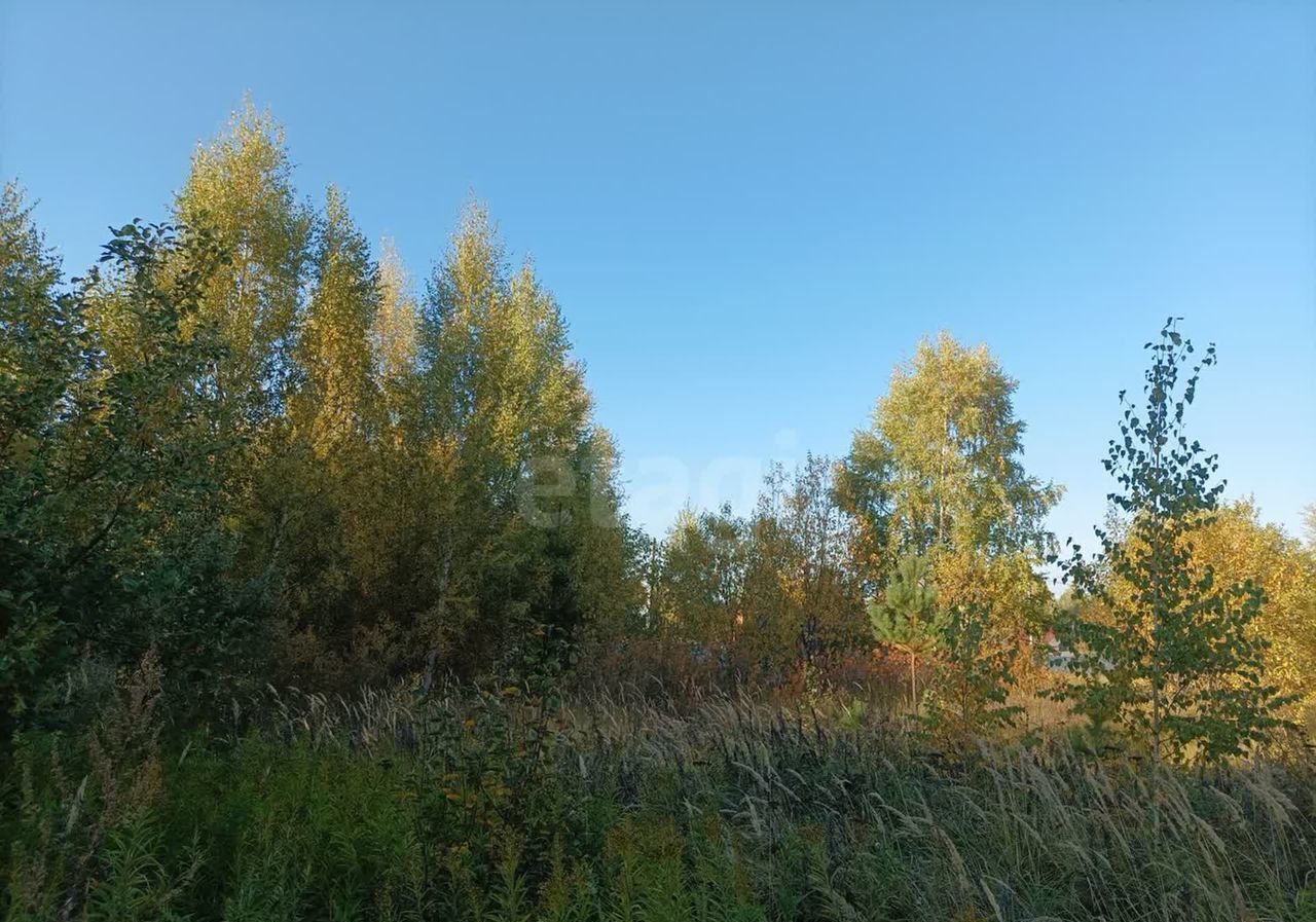 земля р-н Верхнеуслонский снт Родник Введенско-Слободское сельское поселение, 186, Казань фото 8