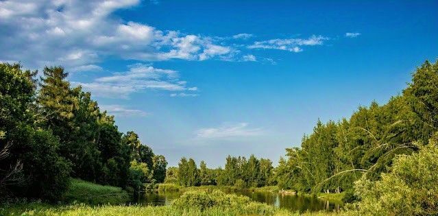 дом р-н Богородский д Савелово ул Полевая 24 фото 32