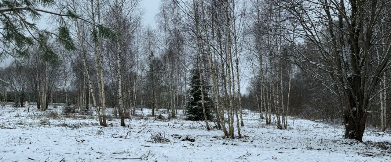 земля городской округ Талдомский д Маклаково фото 7