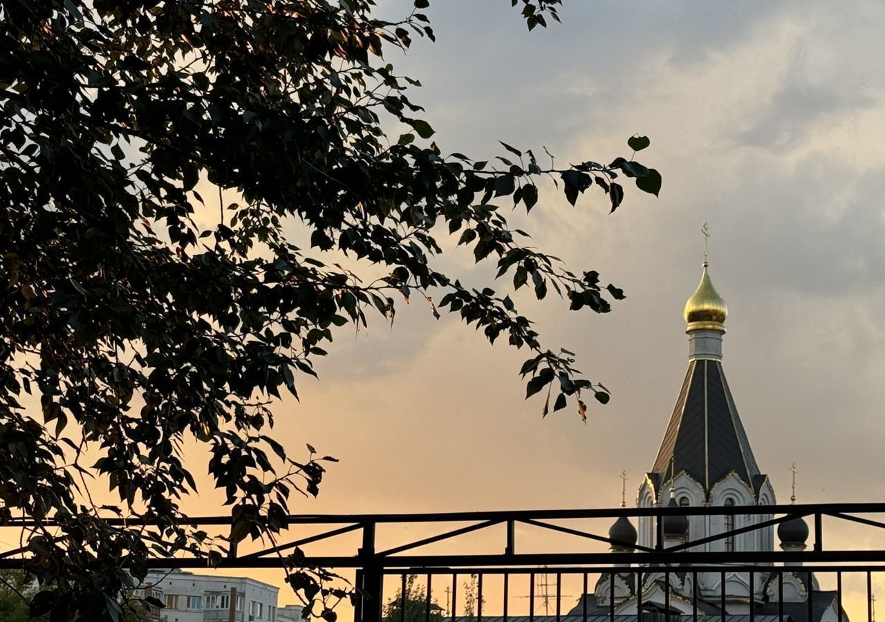 квартира г Москва метро Дубровка ул 1-я Дубровская 13 фото 37