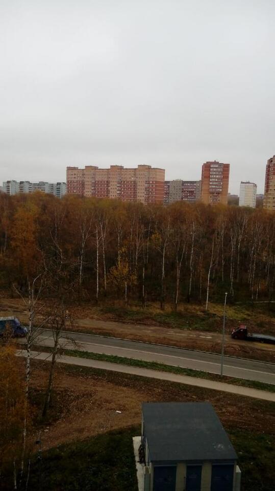 квартира г Лобня ул Колычева 1 фото 11