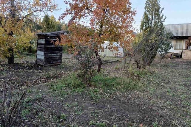 Кыштымский городской округ, СНТ Лесовод фото